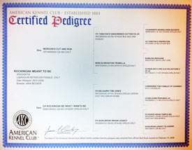 Karma's Pedigree