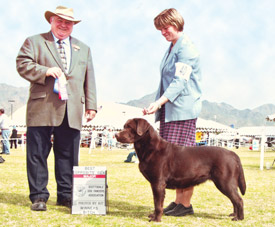 Zoe's First Major